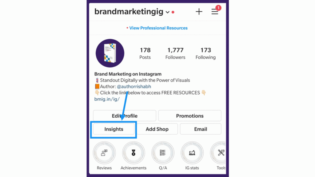 see profile visits instagram